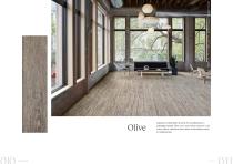 Catalogo Silva-7