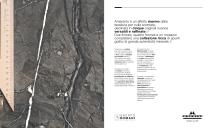 amaranto - 2
