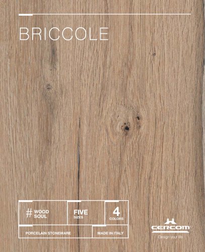 BRICCOLE