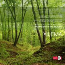 Xilema - 5