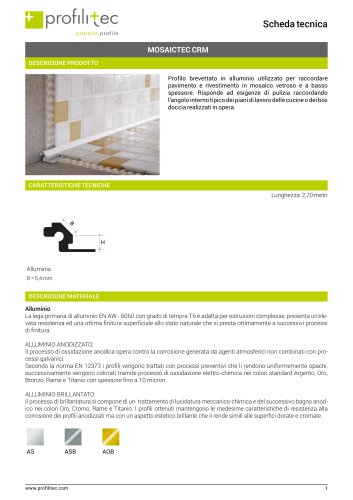 Mosaictec CRM