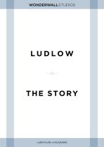 Ludlow Mixed Salvaged