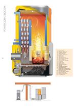 Biostar - 14