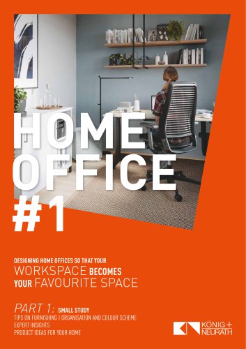 Homeoffice #1