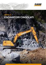Escavatori Cingolati Serie-E - CX130E/CX160E/CX180E-1